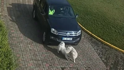 Sakarya Valiliği tarafından dün gece yapılan açıklamanın ardından, Valilik Konağı