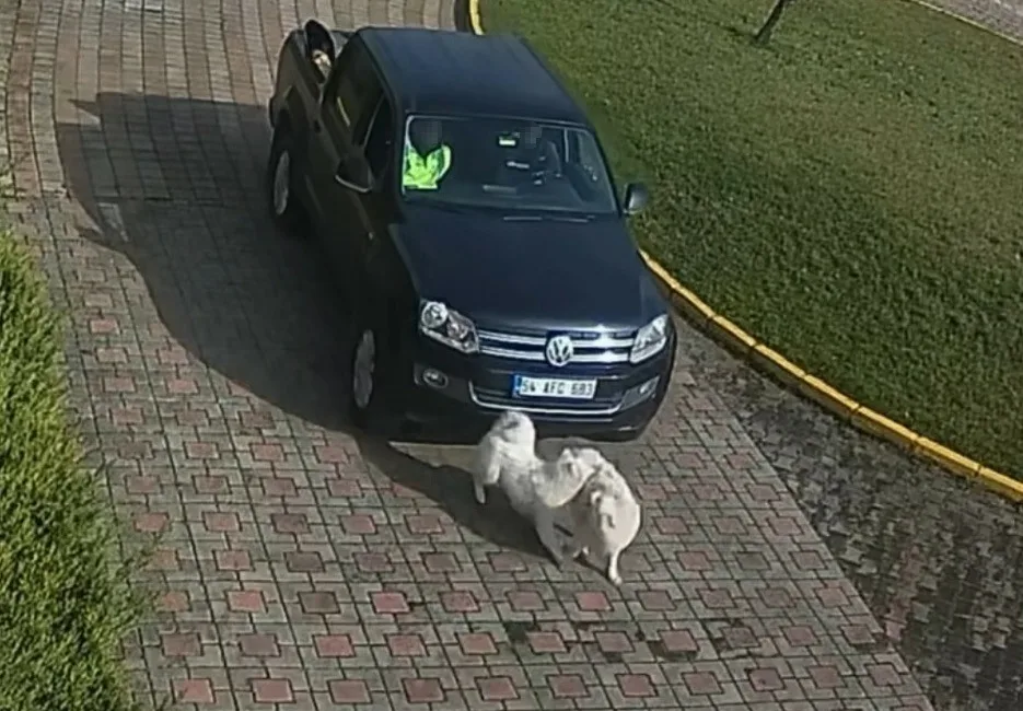 Sakarya Valiliği tarafından dün gece yapılan açıklamanın ardından, Valilik Konağı