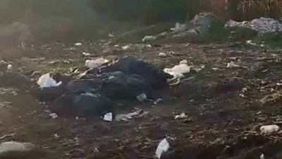 Bolu’da Hamzabey köyünün üst kısmında bulunan ormanlık alanındaki çöp dolu