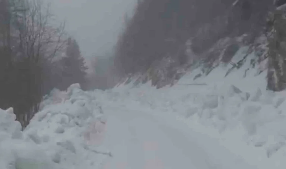 Bolu’da Yedigöller Milli Parkı bölgesinde etkili olan kar yağışı sebebiyle