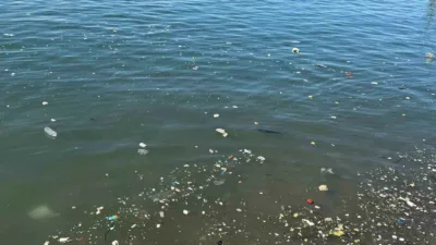 Zonguldak kent merkezinde dalgalarla birlikte kıyıya vuran plastik atıklar çevre