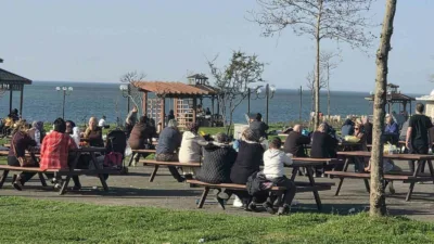 Zonguldak’ın Alaplı ilçesinde 15 Şubat’ta adeta yalancı bahar yaşandı. İlçede