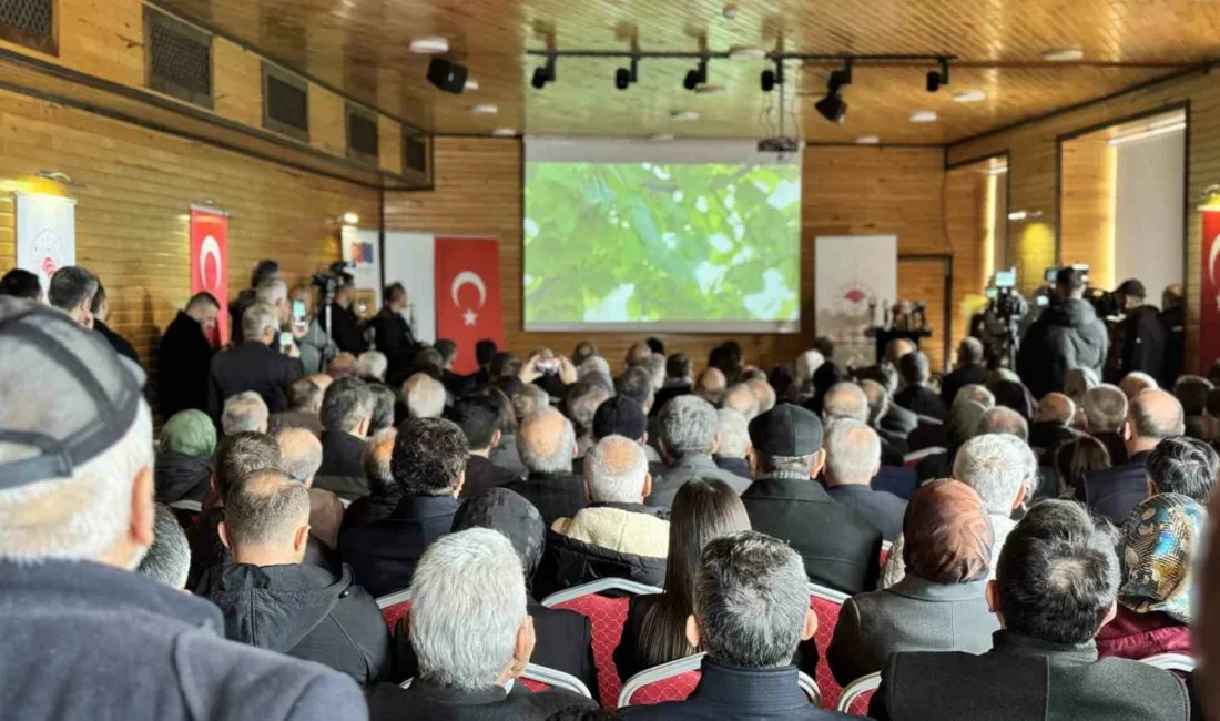 Karabük’ün Yenice ilçesinde, Avrupa Birliği (AB) tarafından tescillenen Yenice ıhlamur