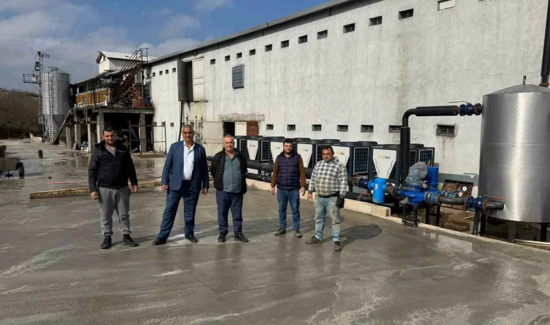 Zonguldak’ın Alaplı ilçesinde, Mollabey ile Çaydeğirmeni arasında bulunan çayda çok