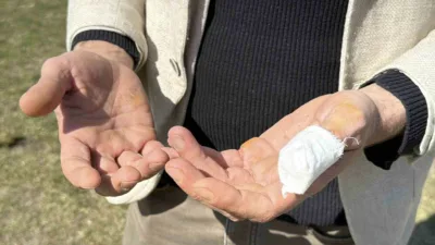 Karabük’te köpeğini tuvalete çıkarmak için parka giden bir vatandaş, başıboş