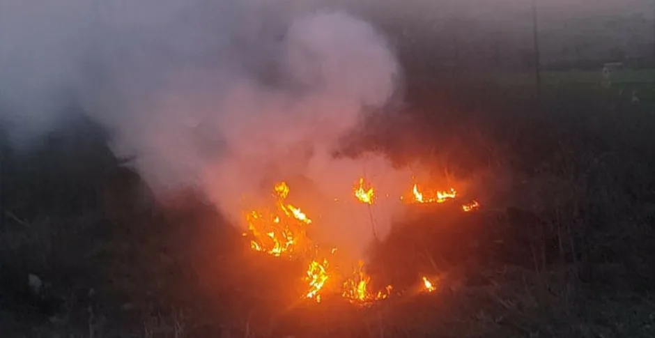 Bolu’nun Mudurnu ilçesinde otluk alanda çıkan yangın, itfaiye ekiplerinin hızlı