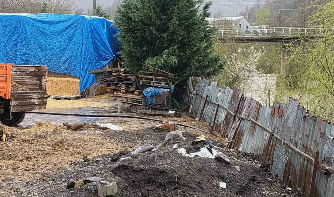 Kocaeli’nin Gölcük ilçesinde Asar Deresi’ne hayvansal atık bıraktığı tespit edilen