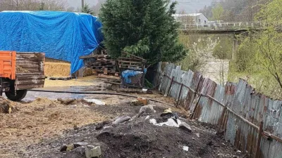 Kocaeli’nin Gölcük ilçesinde Asar Deresi’ne hayvansal atık bıraktığı tespit edilen