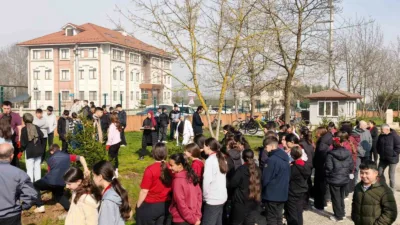 Düzce Üniversitesi Sürdürülebilirlik Ofisi, Sürdürülebilirlik ve Yeşil Kampüs Topluluğu (DÜSÜYET)