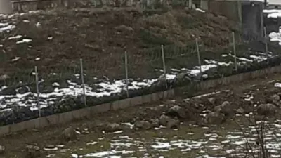 Göç yolculuğundaki leylek sürüsü, Sakarya’nın Hendek ilçesinde mola verdikleri arazide