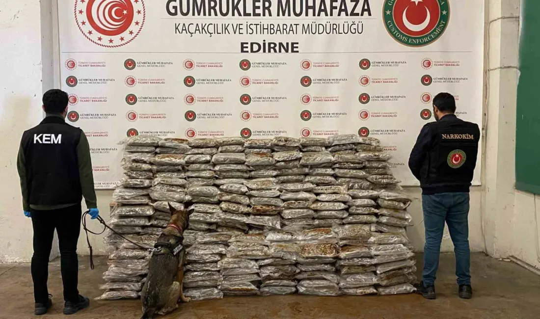 Ticaret Bakanlığı Gümrükler Muhafaza ekiplerince Ambarlı Limanı, Kapıkule Gümrük Kapısı