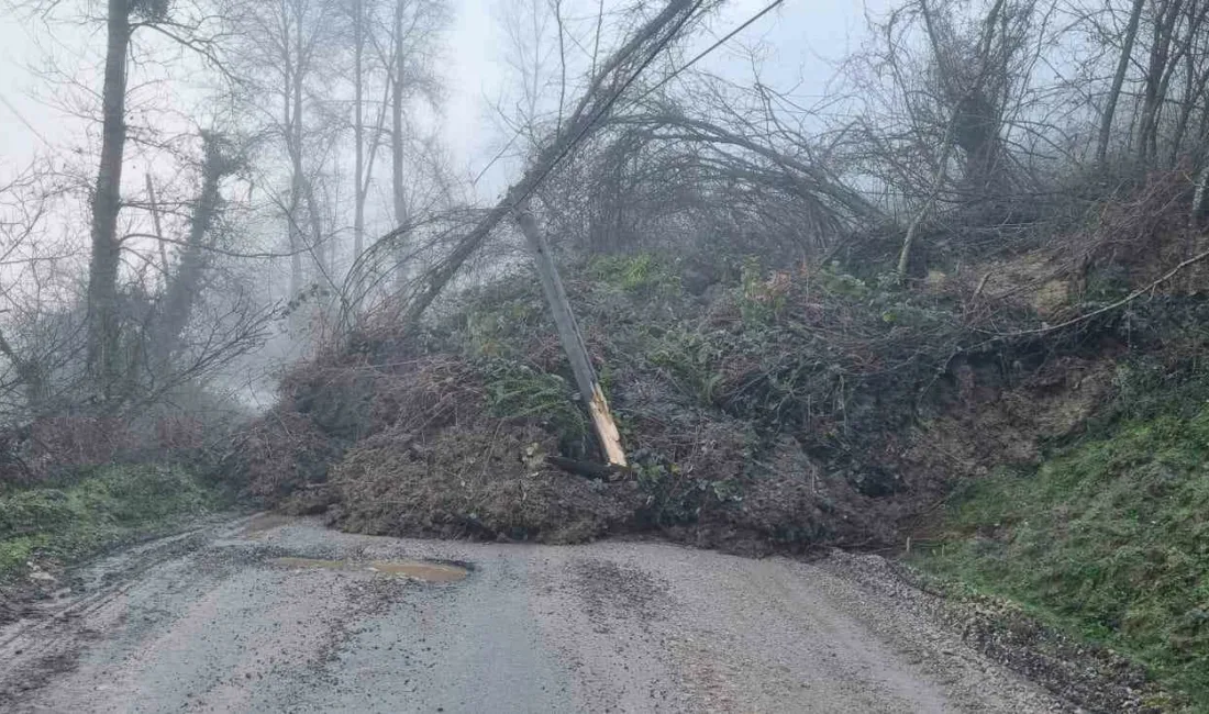 Kastamonu’nun Cide ilçesinde meydana gelen heyelan sebebiyle köy yolu ulaşıma