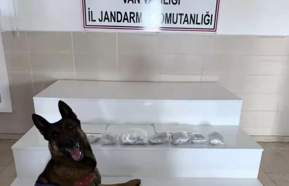 İçişleri Bakanlığı, Van ve Hakkari’de uyuşturucu tacirlerine yönelik düzenlenen operasyonlarda