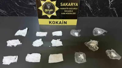 İstanbul’dan getirdiği kokaini Sakarya’ya sokmaya çalışan şüpheli, Anadolu Otoyolu Adapazarı