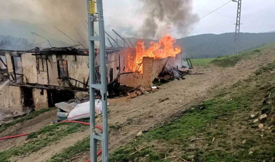 Karabük merkeze bağlı Kahyalar köyünde alevlere teslim olan 2 katlı