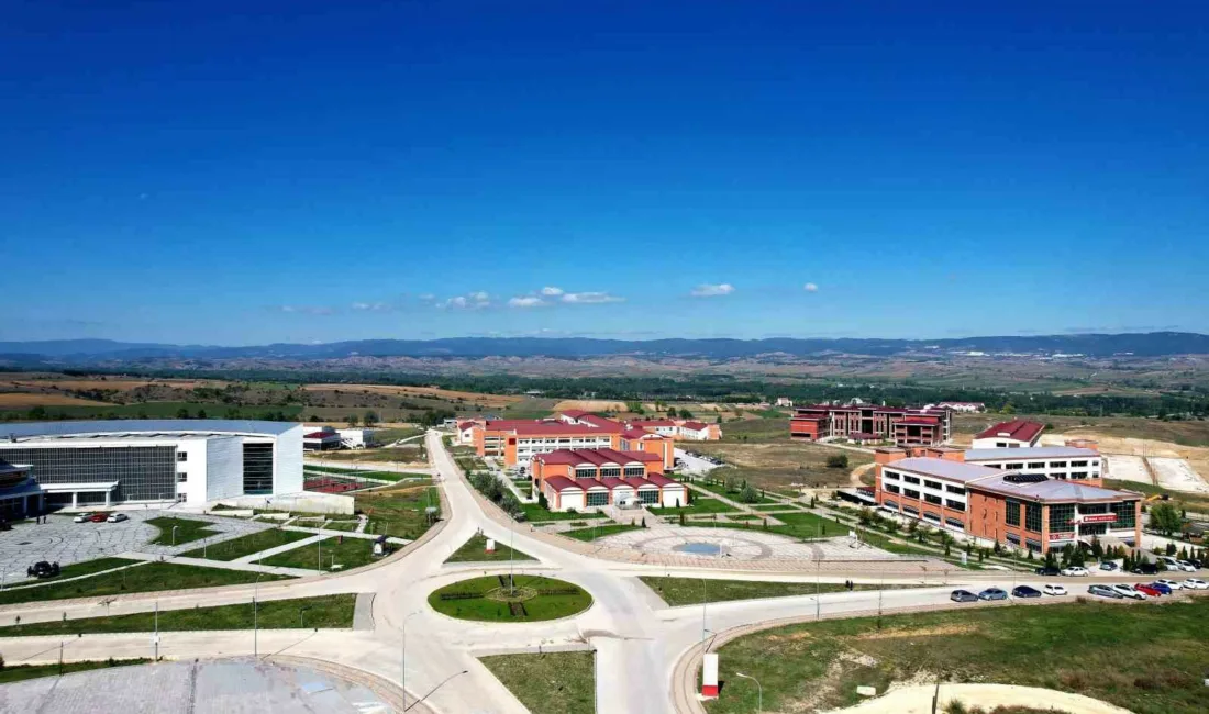 Kastamonu Üniversitesi’nin hak sahipliğinde başvurusu yapılan “Ostoi Uyarı ve Vakum