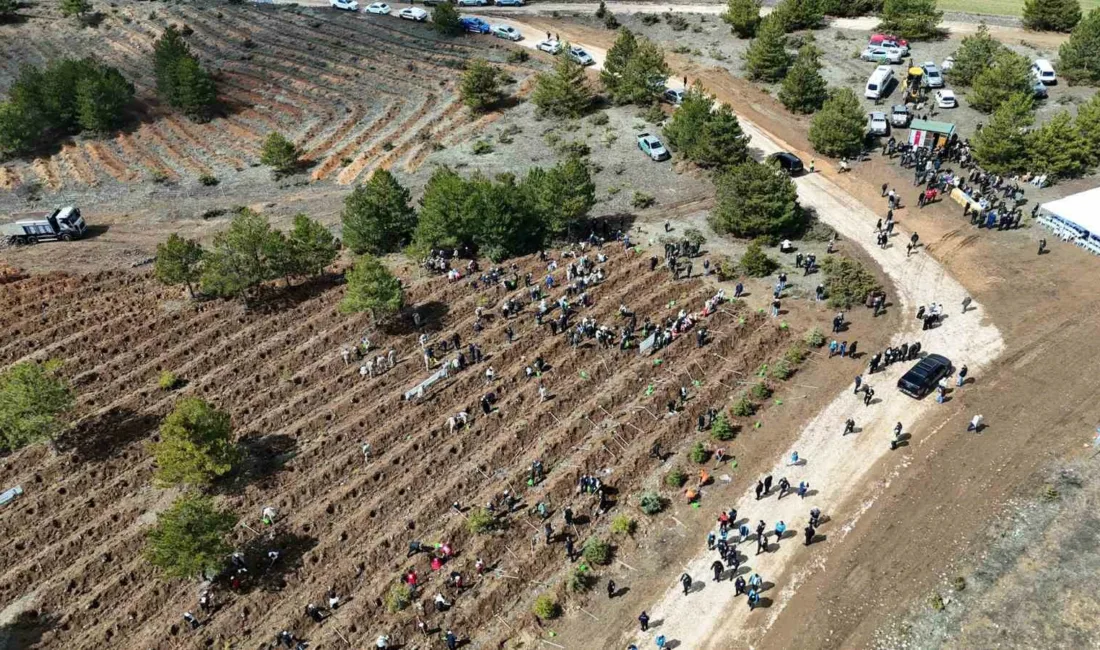 Kastamonu’da “Türkiye’nin Gücü Orman” teması adı altında bu yıl içerisinde