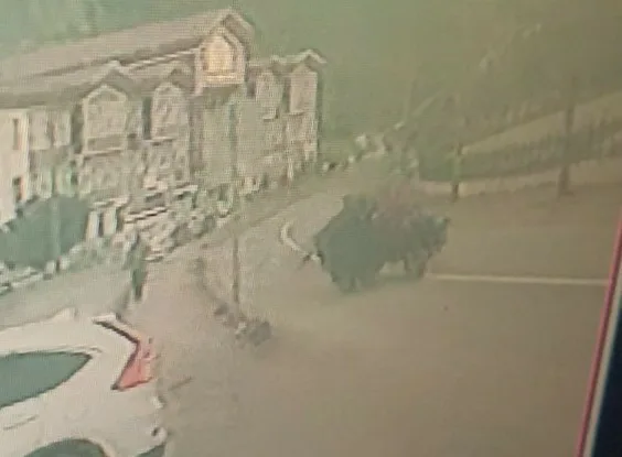 Kastamonu’nun İnebolu ilçesinde “patpat” diye tabir edilen tarım aracının lastiğinin