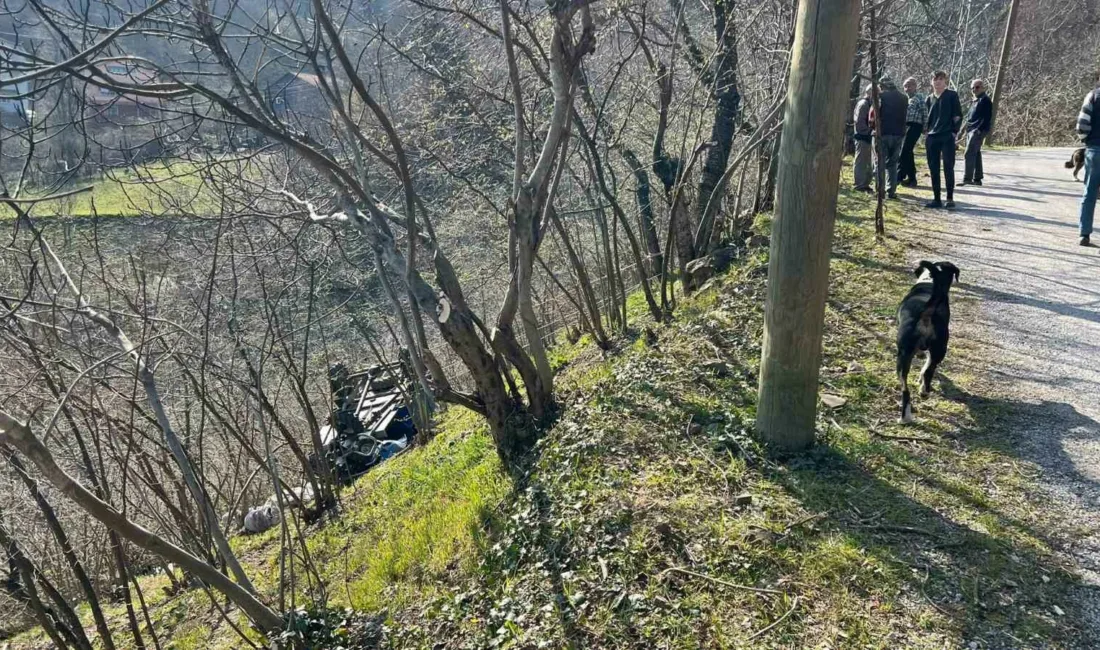 Kastamonu’nun Bozkurt ilçesinde hayvan gübresi “patpat”ın şarampole devrilmesi neticesinde meydana