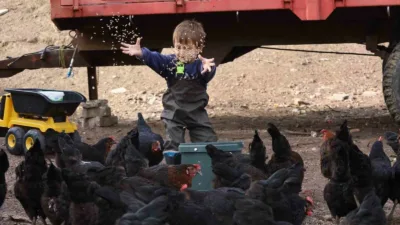 Kocaeli’de tarım ve hayvancılığı desteklemek amacıyla 2019-2026 yılları arasında hayata