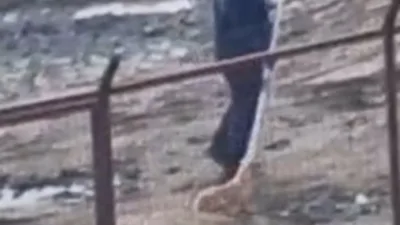 Sakarya Valiliği, Geyve ve Pamukova ilçelerindeki hayvan barınaklarına ilişkin sosyal