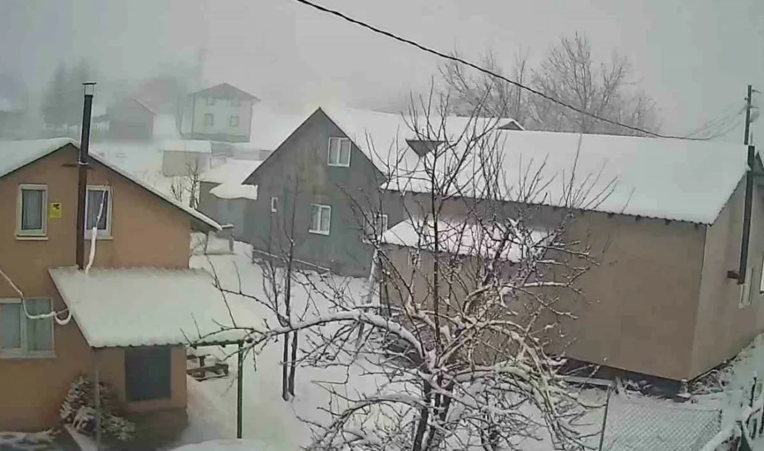 Sakarya’nın Hendek ilçesinin yüksek kesimlerinde etkili olan kar yağışı, yaylaları