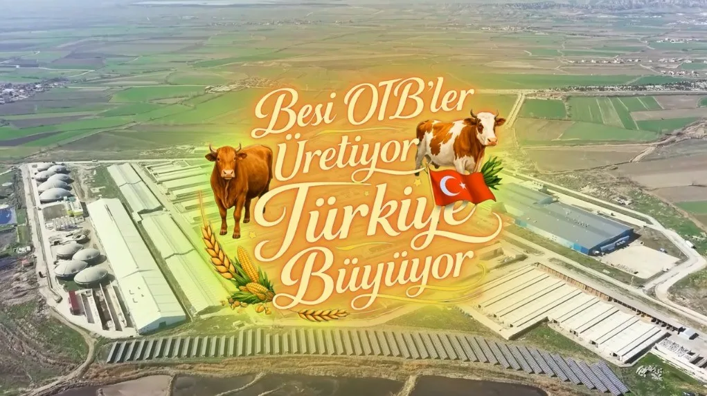 Tarım ve Orman Bakanı İbrahim Yumaklı, Amasya Suluova Besi Organize