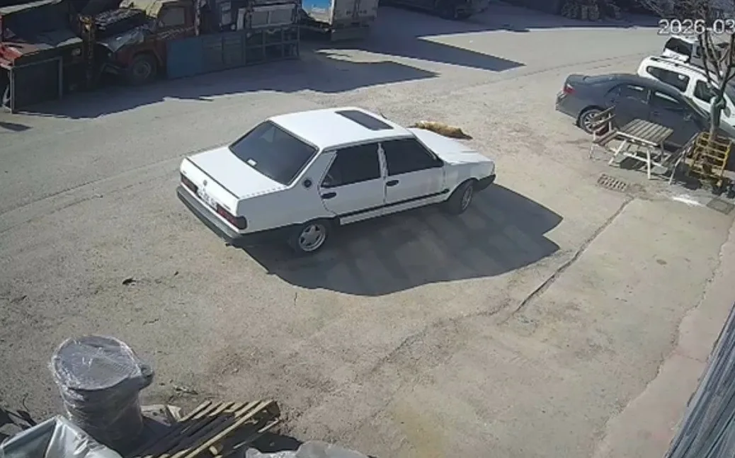 Bolu’da bir otomobil sürücüsü, yolda yatan köpeği ezdi. O anlar