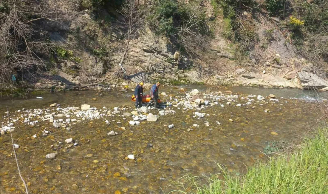 Zonguldak’ın Asma Mahallesi’nde defne yaprağı topladığı esnada dengesini kaybederek uçuruma