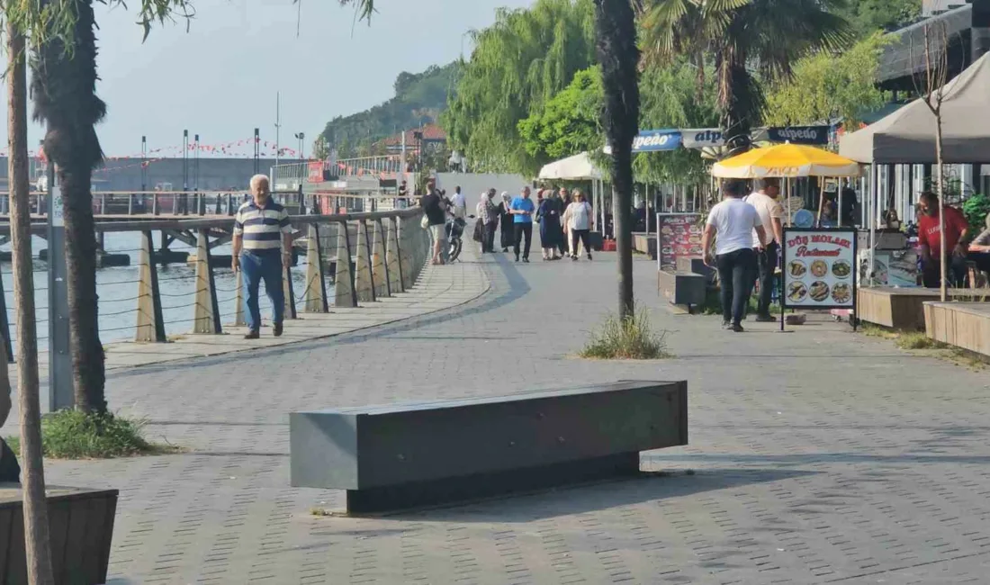Türkiye İstatistik Kurumu’nun (TÜİK) yayımladığı “İstatistiklerle Yaşlılar, 2025” verilerine göre,