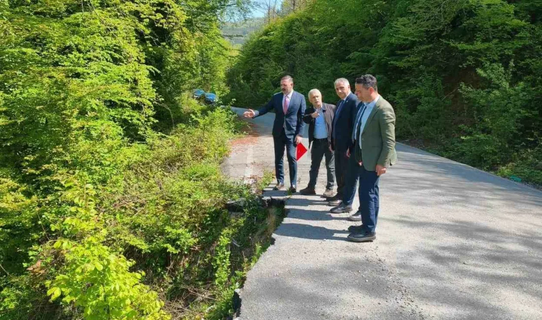 Zonguldak’ta Kardeşler Köyü’nde yaşanan heyelan sonrası AK Parti heyeti bölgede