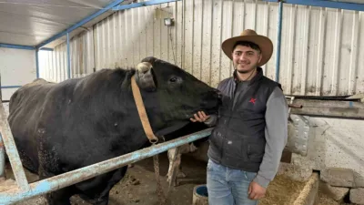 Kurban Bayramı’nın yaklaşmasıyla birlikte Sakarya’daki hayvan pazarlarında hareketlilik başladı. Pazara