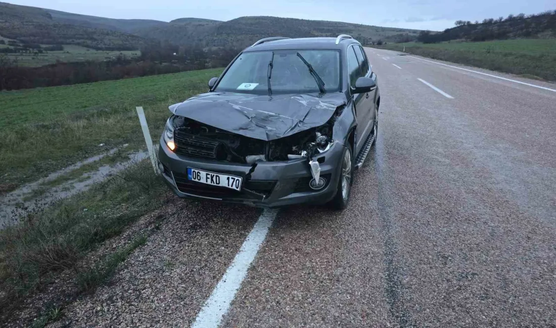 Ankara’da seyir halindeki bir araç geyiğe çarptı. Telef olan geyik,