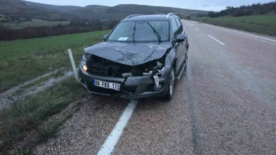 Ankara’da seyir halindeki bir araç geyiğe çarptı. Telef olan geyik,