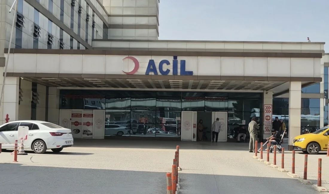 Bahar aylarının etkisini göstermesiyle birlikte polen kaynaklı şikayetlerde artış yaşanırken,