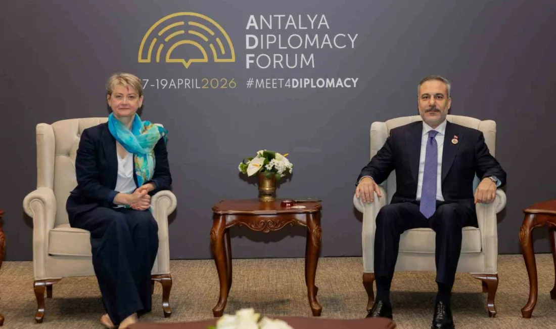 Dışişleri Bakanı Hakan Fidan, Birleşik Krallık Dışişleri, İngiliz Milletler Topluluğu
