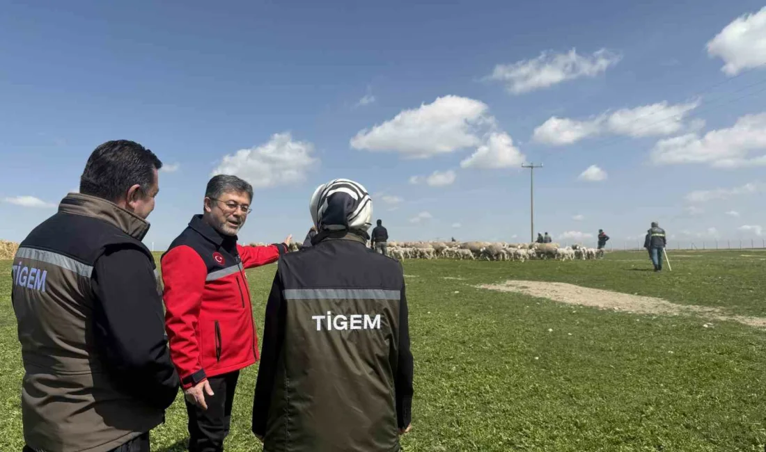 Tarım ve Orman Bakanı İbrahim Yumaklı, Kırsalda Bereket Küçükbaşa Destek