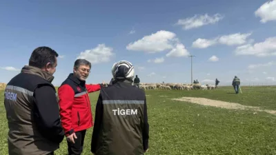 Tarım ve Orman Bakanı İbrahim Yumaklı, Kırsalda Bereket Küçükbaşa Destek