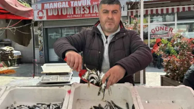 Zonguldak’ta 15 Nisan itibarıyla başlayan genel av yasağının ardından tezgahlardaki