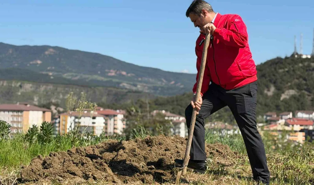 Karabük Belediye Başkanı Özkan Çetinkaya, dalından koparıp yediği bademin karşılığını