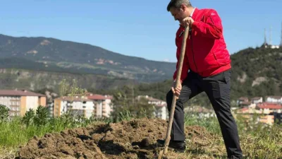 Karabük Belediye Başkanı Özkan Çetinkaya, dalından koparıp yediği bademin karşılığını