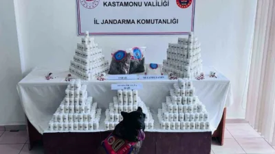 Kastamonu’da gerçekleştirilen operasyonda 69 bin 407 adet sentetik ecza hapıyla
