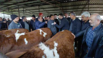 Kurban Bayramı’na sayılı günler kala Bolu’daki hayvan pazarlarında hareketlilik artmaya