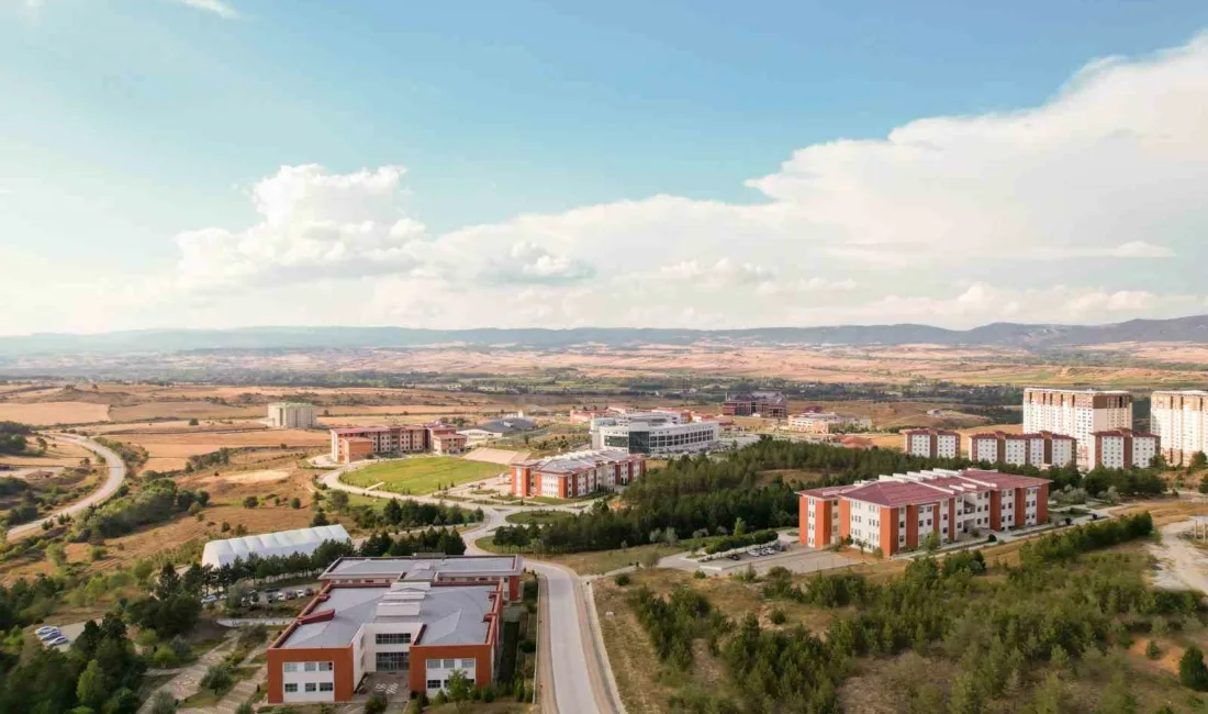 Kastamonu Üniversitesi’nin yürütücülüğünde hayata geçirilen proje ile genç yetişkinlerin fiziksel
