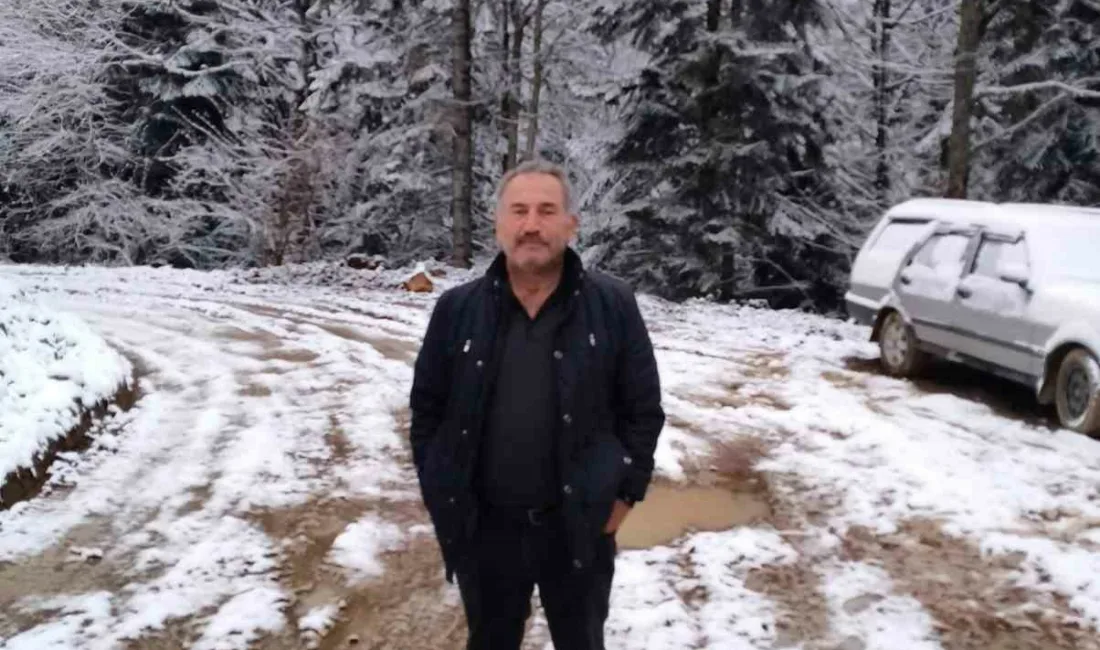 Karabük’ün Yenice ilçesinde ormanlık alanda ağaç kesimi sırasında devrilen ağacın