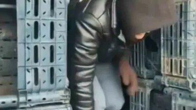 Düzce jandarma ekiplerinin göçmen kaçakçılığıyla mücadelesi sürüyor. Yasa dışı yollardan