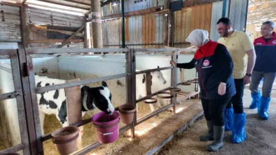 Düzce İl Tarım ve Orman Müdürlüğü tarafından hayvan sağlığının korunması,