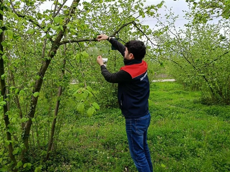 Düzce İl Tarım ve Orman Müdürlüğü tarafından, 2026 yılı üretim