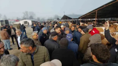 Kurban Bayramı’na 1,5 ay kala Bolu’nun Mudurnu ilçesinde kurulan hayvan
