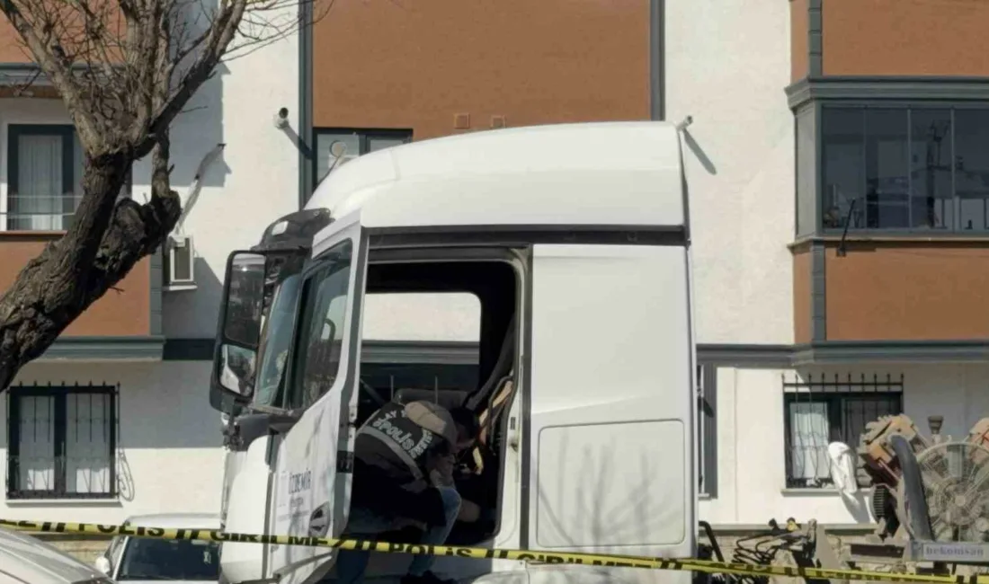 Kocaeli’nin Darıca ilçesinde işe gitmek üzere tırına binen kardeşini, kurduğu